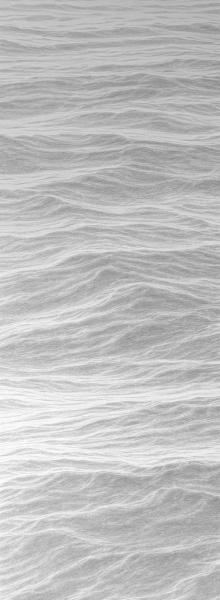 Upstanding, graphite on paper, 15 x 42 inches, $8,500 