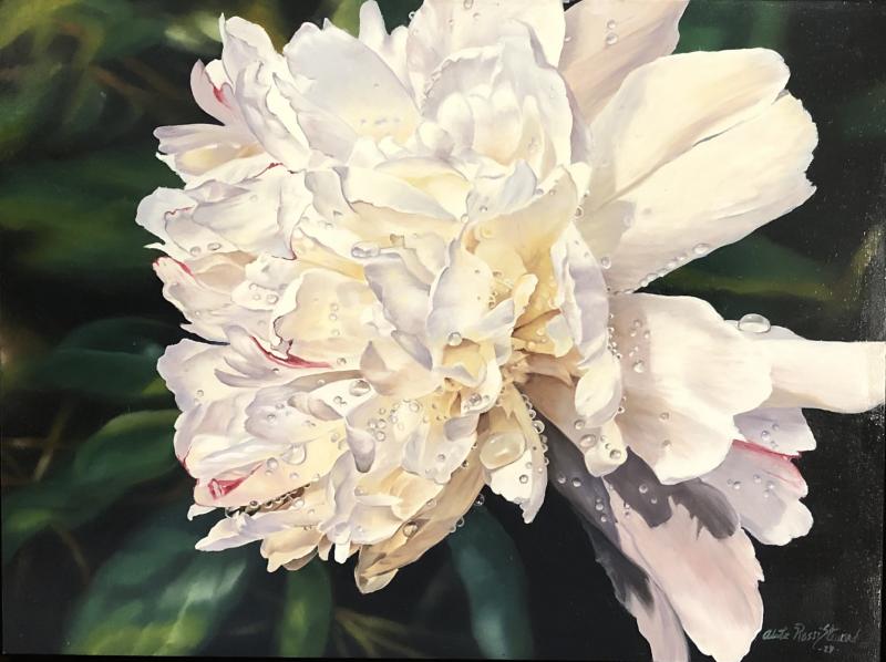 White Rain Peony, oil on panel, 12 x 16 inches   SOLD 