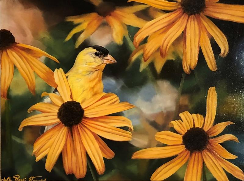 Peek-a-boo, Goldfinch and Rubeckia, oil on panel, 9 x 12 inches, $2,200 