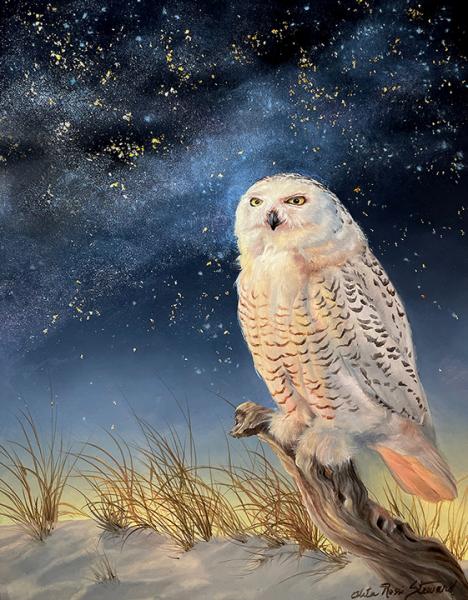 Star Glitter, Snowy Owl, oil on panel, 12 x 9 inches, $2,200 