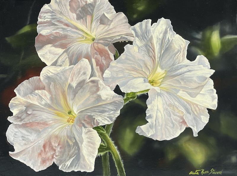 White Petunias , oil on panel, 12 x 16 inches , $3,200 